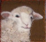 upper left sheep head_edited-2_th.jpg